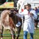 Pictures as thousands flock to Stokesley Show 2026