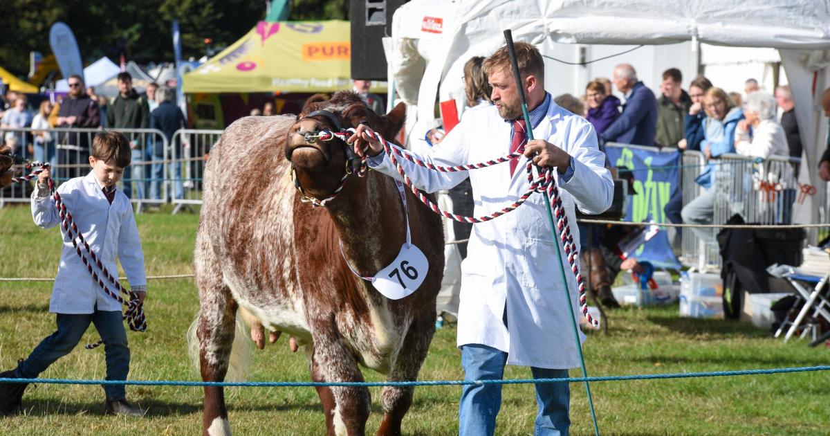 Pictures as thousands flock to Stokesley Show 2026