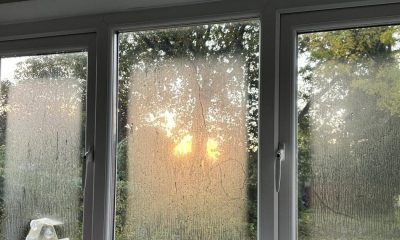 Homeowners urged to wipe autumn condensation from windows