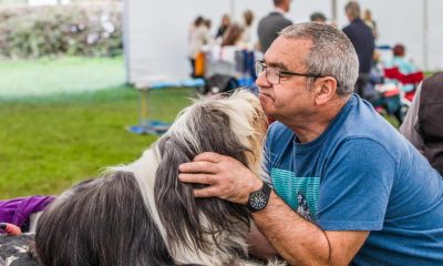 Pictures as hundreds gathered for Darlington Dog Show