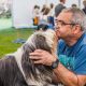 Pictures as hundreds gathered for Darlington Dog Show