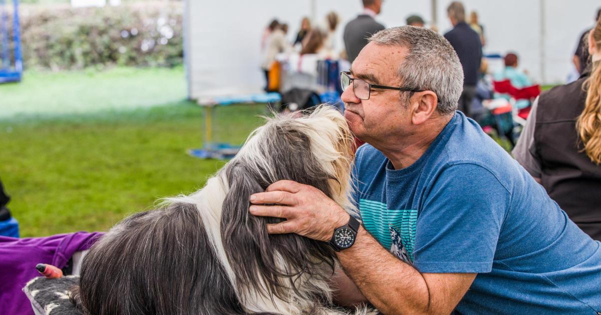 Pictures as hundreds gathered for Darlington Dog Show