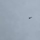 Here's why police helicopter was seen circling over Darlington