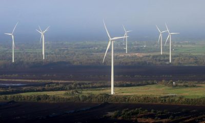 ‘Effectively free’ electricity could help cut UK household bills