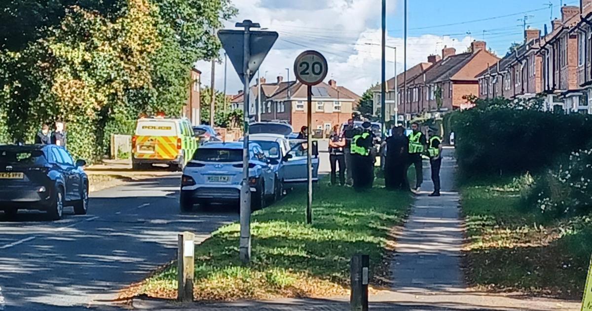 Police close Tang Hall shop after officers swoop in York