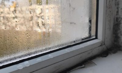 The minimum temperature your heating should be to stop mould