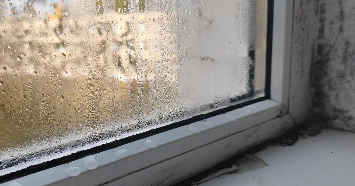 The minimum temperature your heating should be to stop mould