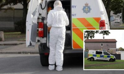 CSI called after man 'murdered' on 'peaceful' Peterlee street