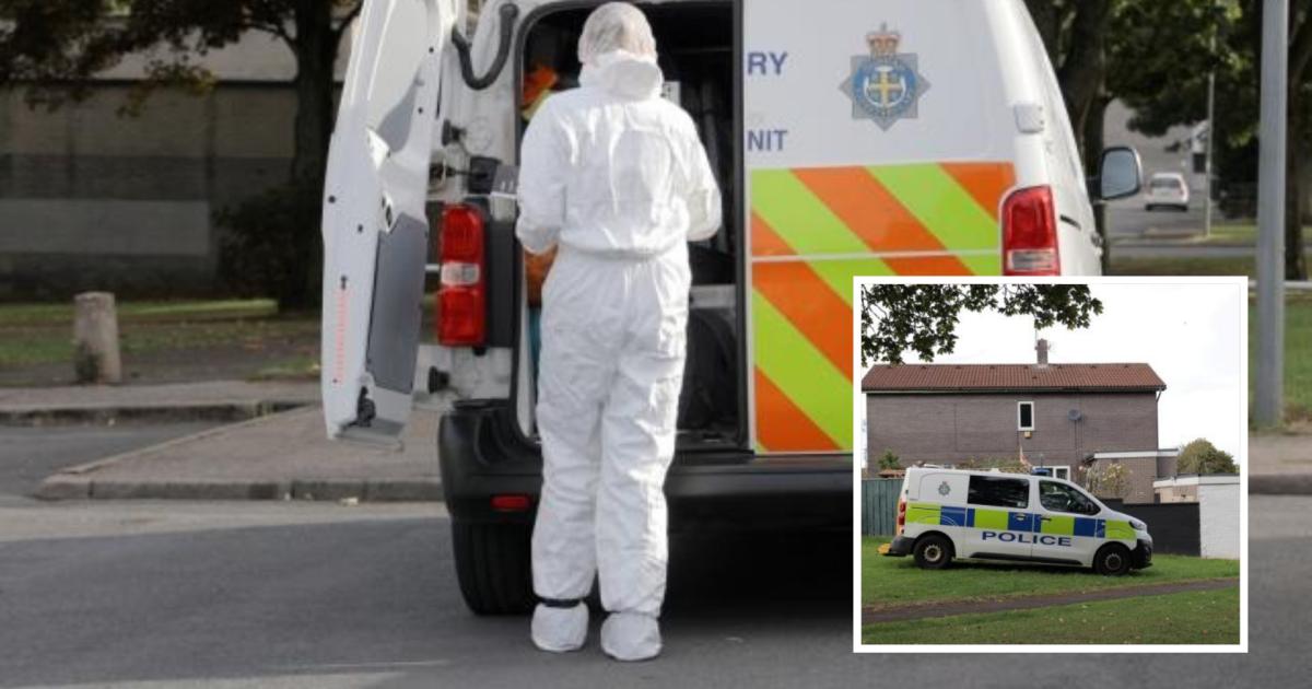 CSI called after man 'murdered' on 'peaceful' Peterlee street