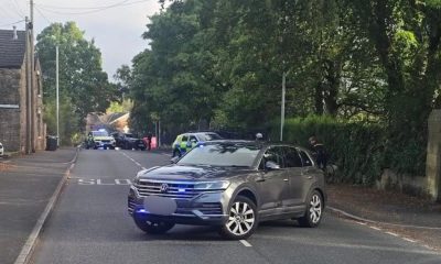 Deer dies after impaling itself on Walshaw railings