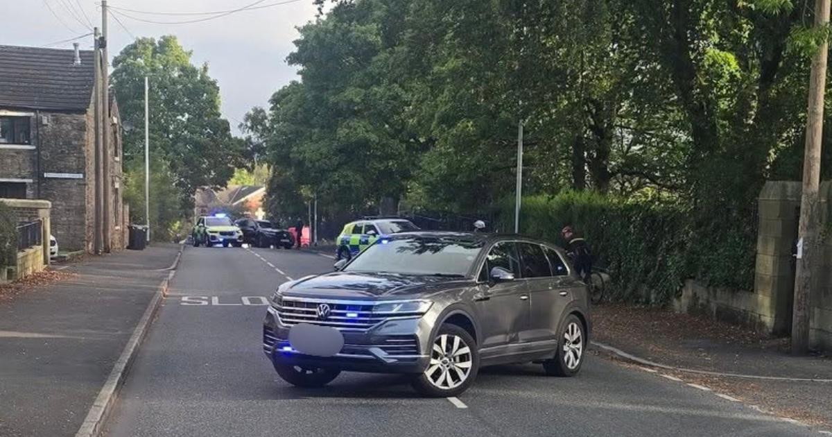 Deer dies after impaling itself on Walshaw railings