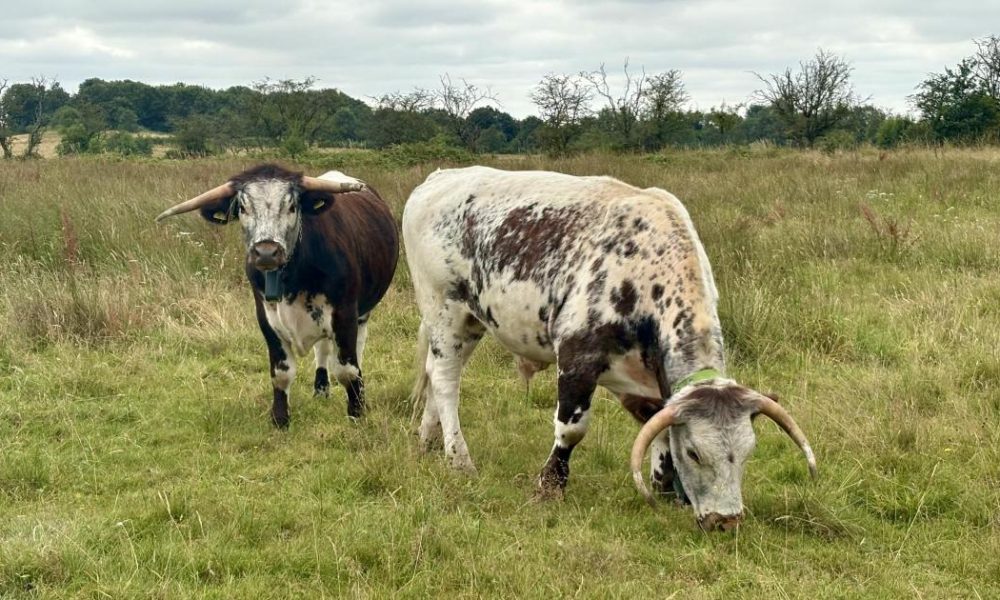 Cutacre Country Park praised for bringing nature closer to people