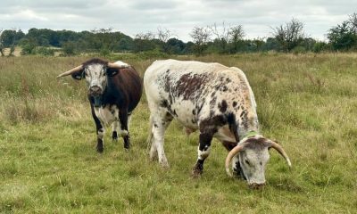 Cutacre Country Park praised for bringing nature closer to people