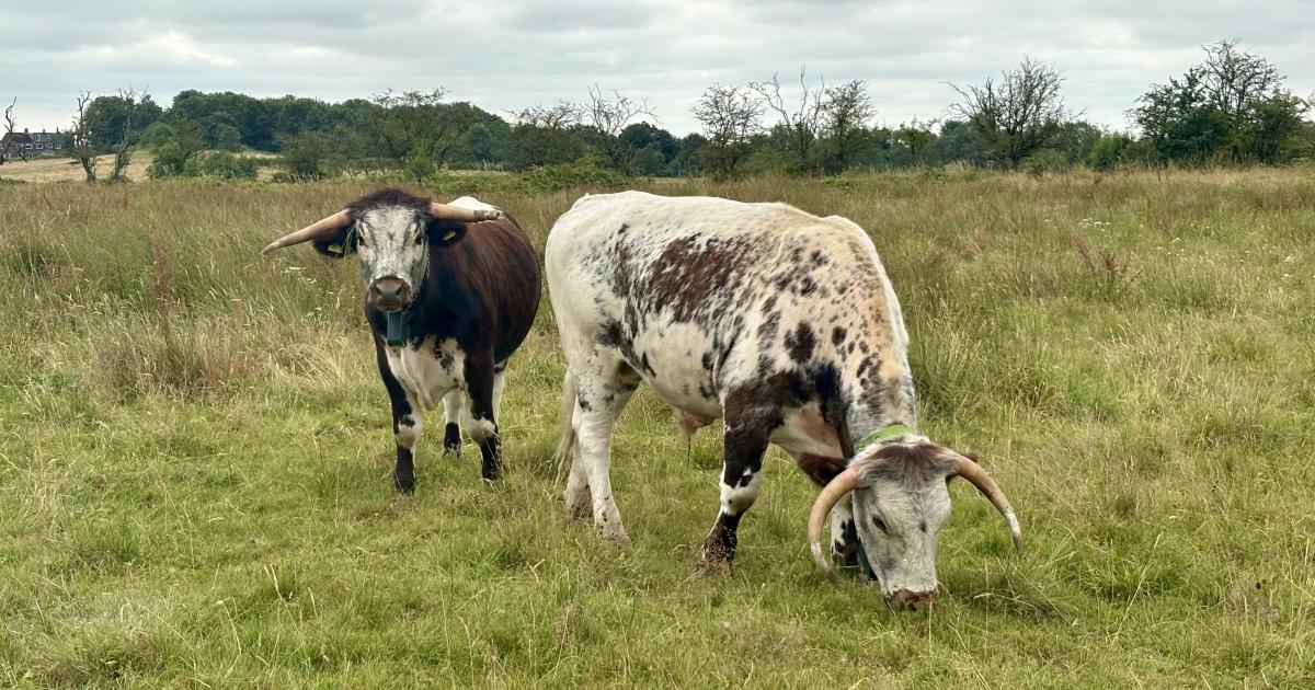 Cutacre Country Park praised for bringing nature closer to people