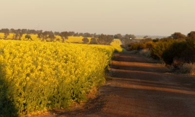 Migration changes will hurt key WA sectors