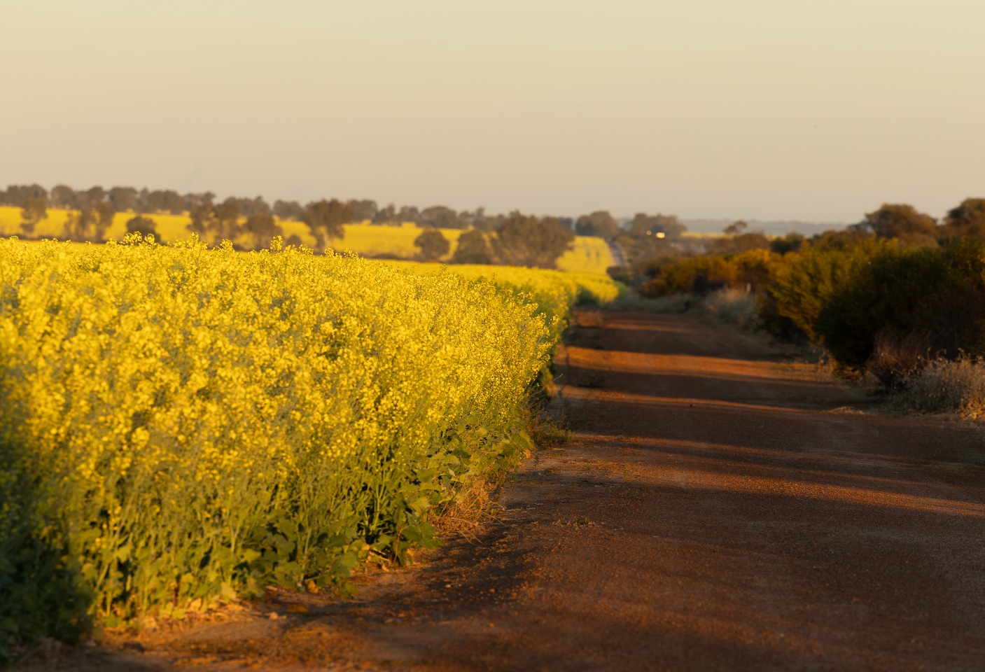 Migration changes will hurt key WA sectors