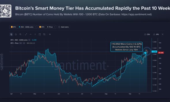 Bitcoin 100-1,000 BTC Wallet Holdings Versus Price Since July 15.
