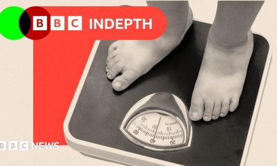 BBC InDepth