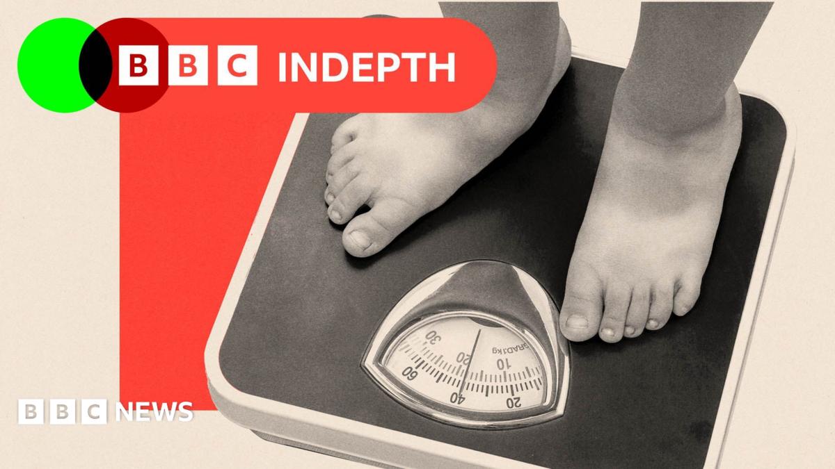 BBC InDepth