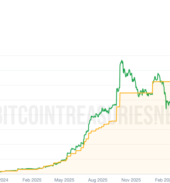 Metaplanet Bitcoin Holdings.