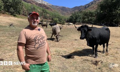 Spanish farmer Juan Ángel Izquierdo stands in a field in front of some of his cows. He is wearing a hat and a light brown t-shirt