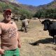 Spanish farmer Juan Ángel Izquierdo stands in a field in front of some of his cows. He is wearing a hat and a light brown t-shirt