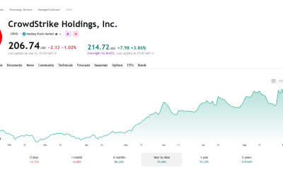 CrowdStrike stock year-to-date price chart showing a 74.46% gain