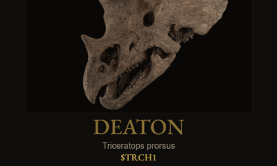 Tokenized dinosaur skull raise dashboard for Deaton on Solana
