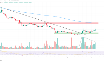 Top 3 Meme Coins to Watch in the Second Week of September