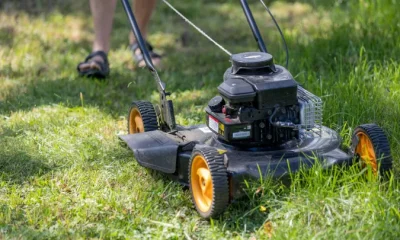 Don’t cut your grass too short after a dry summer.