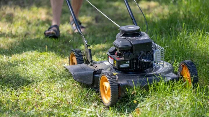 Don’t cut your grass too short after a dry summer.