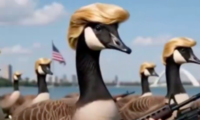 Trump Mocked After Posting Donald Ducks Meme