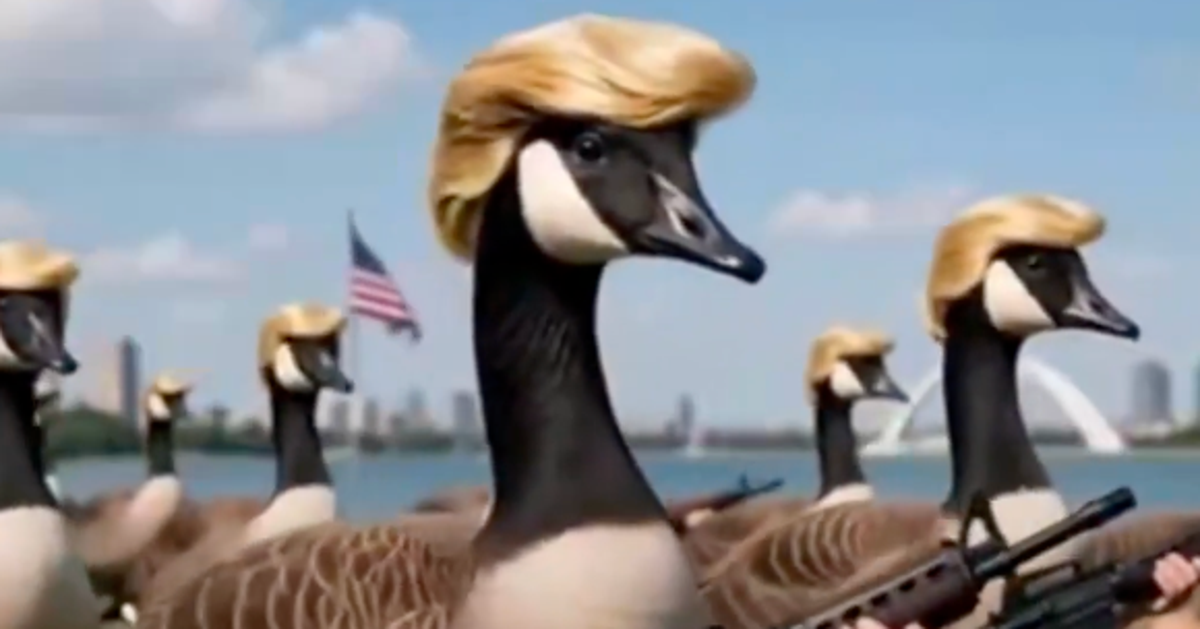 Trump Mocked After Posting Donald Ducks Meme