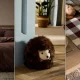 33 Cosy Autumn Home Decor Ideas: Blankets, Pumpkin Decorations, And Candles