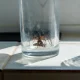 Seeing more spiders? You’re not alone.