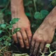 September Gardening Jobs UK: What To Plant And Protect This Autumn