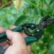 Five Key Gardening Jobs You Must Do Now Ahead Of Winter