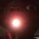 E.T. Original Movie Script: How Steven Spielberg Turned An Alien Horror Into A Classic