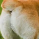 What Different Fart Smells (And Sensations) Can Tell You About Your Health