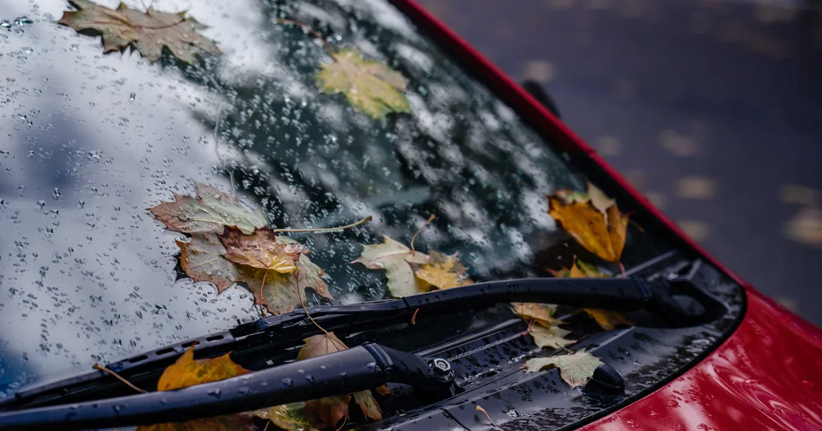 Why There Are Fewer Bugs On Windshields Lately?