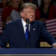 Trump: 'Pretend That I'm On The Ballot' During Midterms