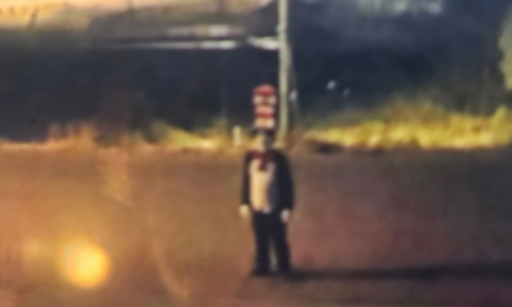 Cat In The Hat Social Media Trend: How To Talk To Teens About It