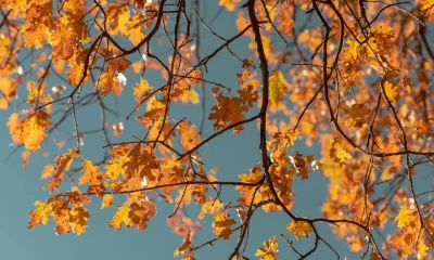 The autumn equinox can signify some big changes.