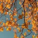 The autumn equinox can signify some big changes.