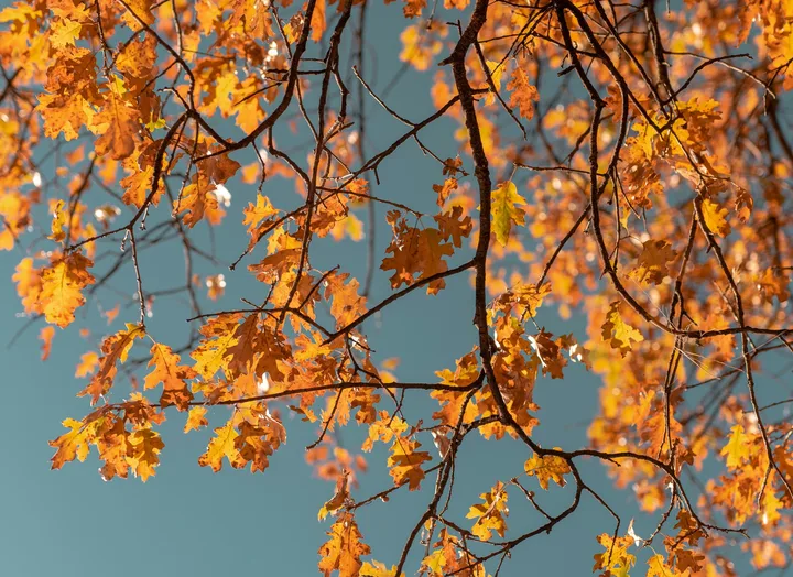 The autumn equinox can signify some big changes.