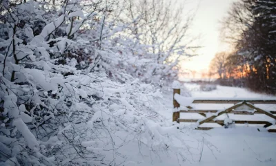 What Is A Polar Vortex? Could It Affect UK Winter Weather?