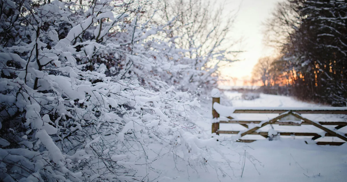 What Is A Polar Vortex? Could It Affect UK Winter Weather?