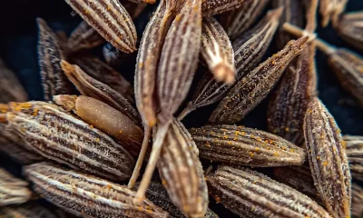 Here's What Cumin's Actually Made From