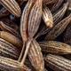 Here's What Cumin's Actually Made From