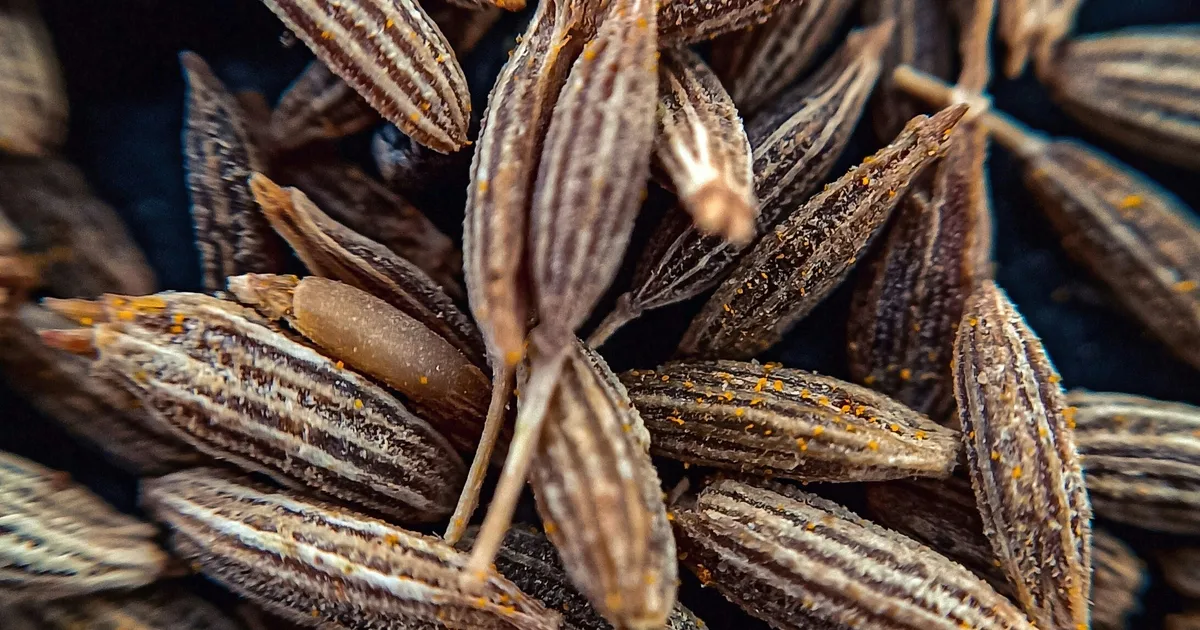 Here's What Cumin's Actually Made From